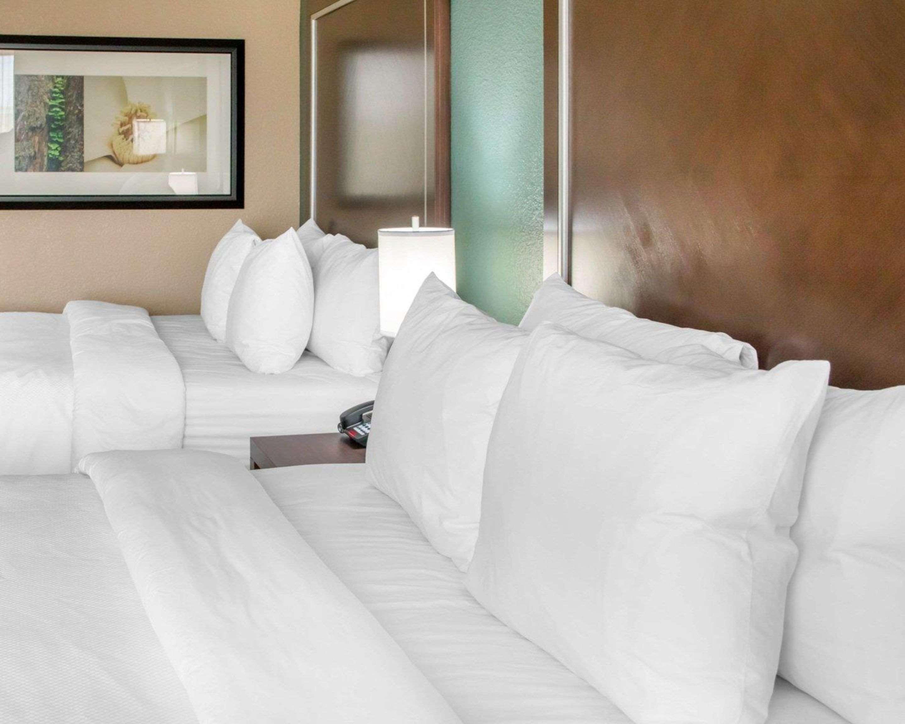 Comfort Inn & Suites San Marcos Buitenkant foto
