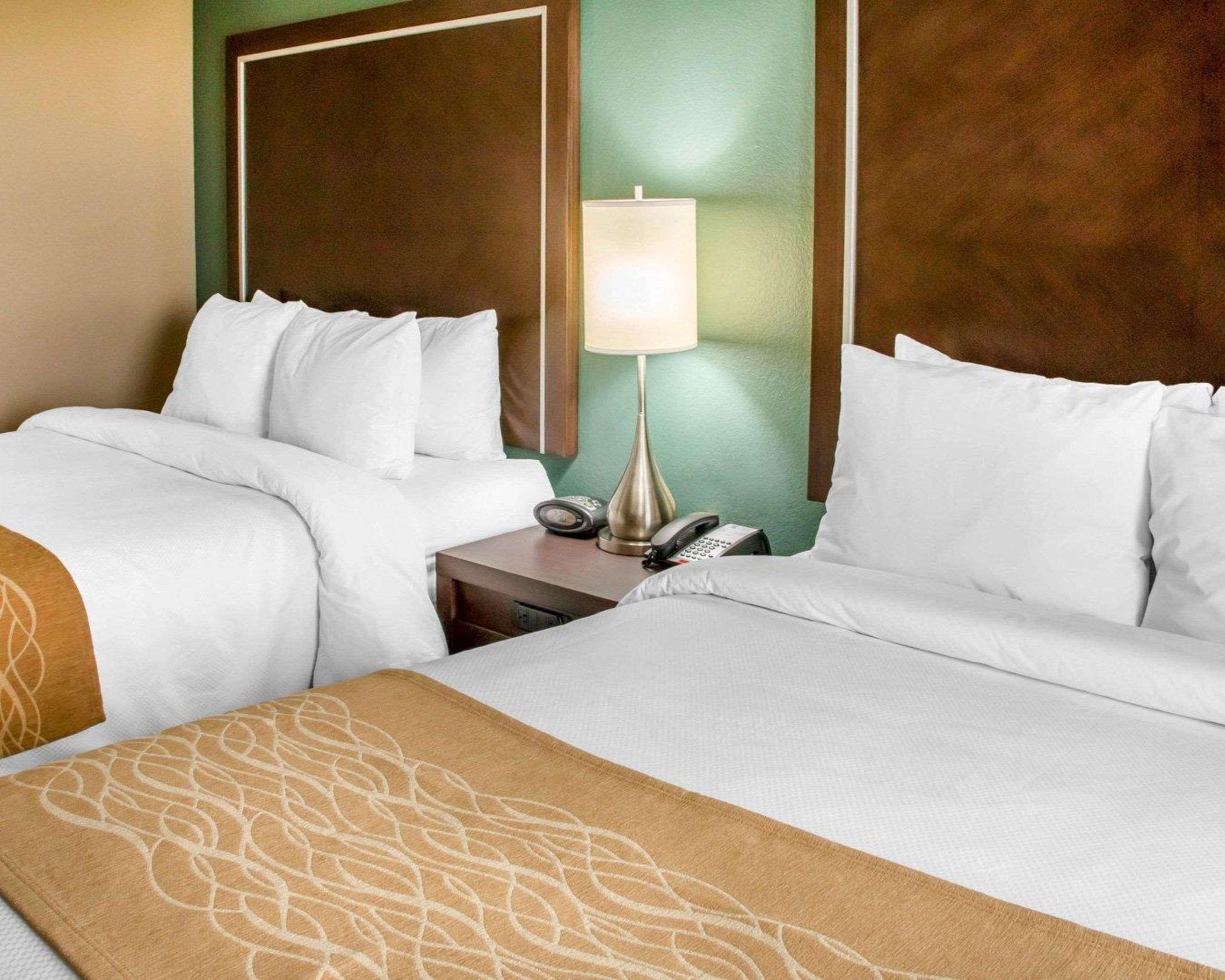 Comfort Inn & Suites San Marcos Buitenkant foto