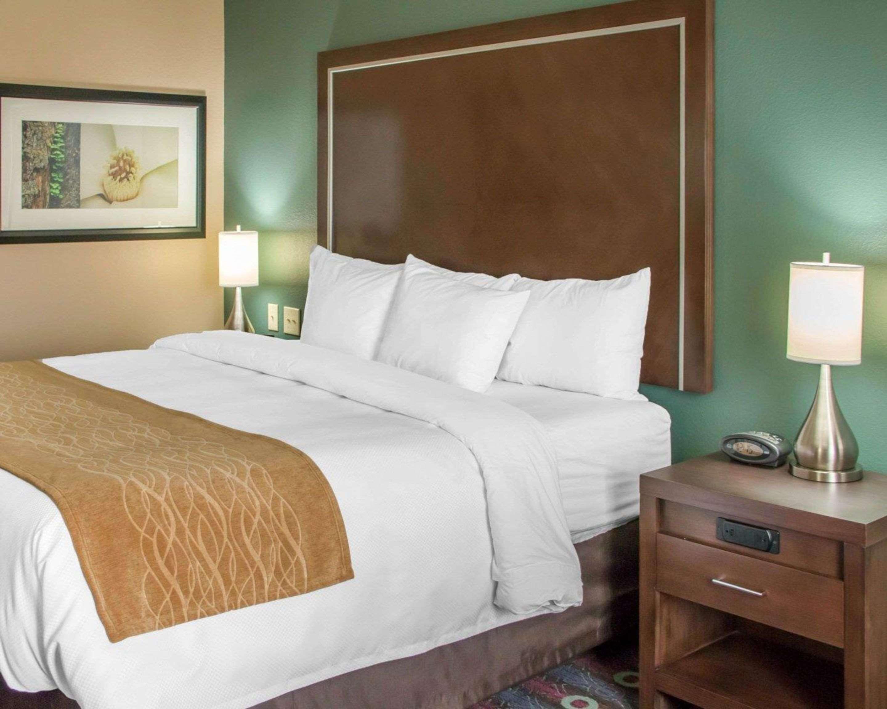 Comfort Inn & Suites San Marcos Buitenkant foto