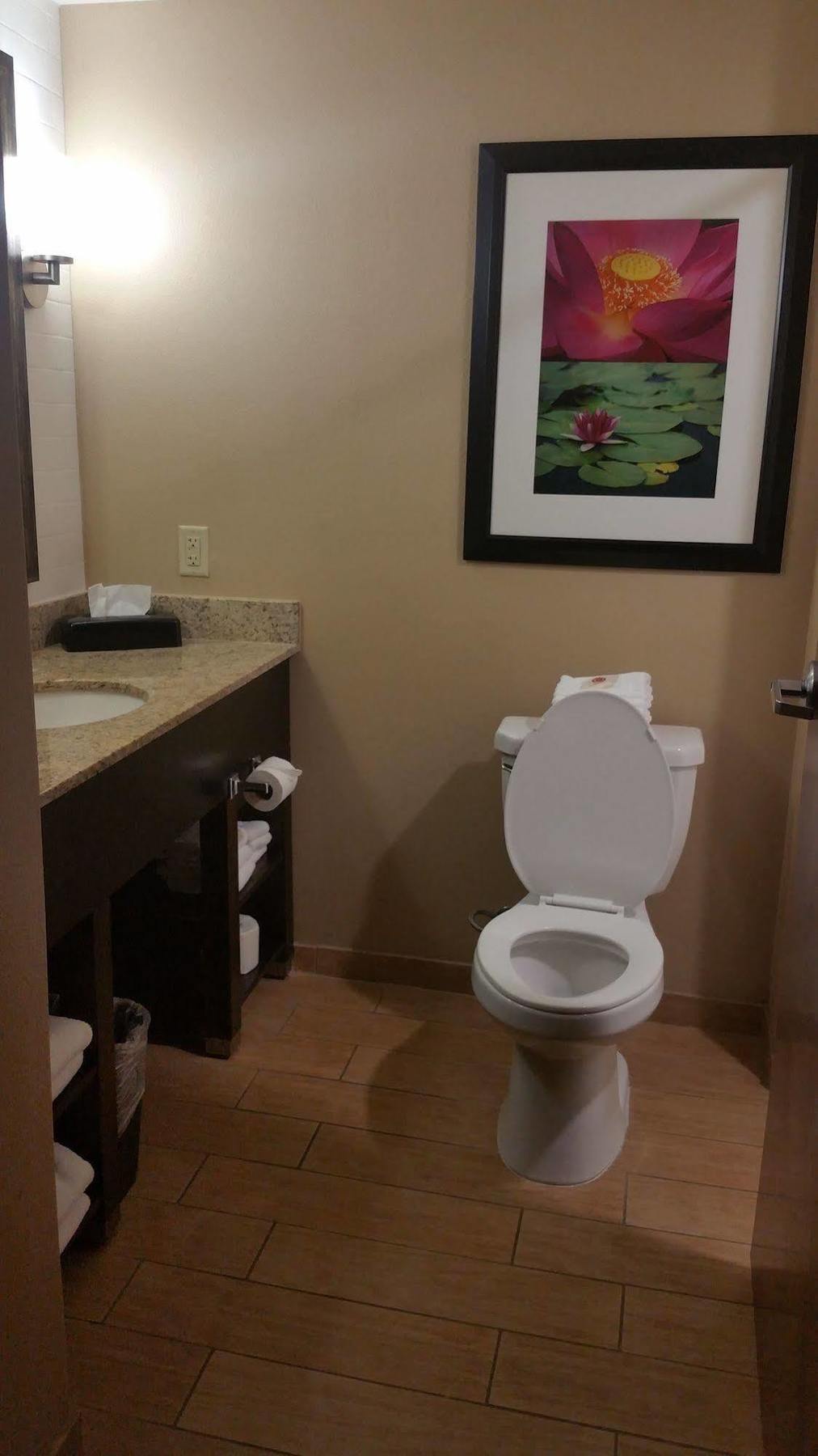 Comfort Inn & Suites San Marcos Buitenkant foto